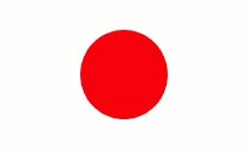 Model Flag Japan