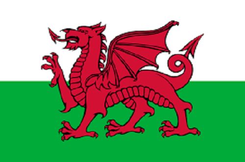 Model Flag Welsh Dragon