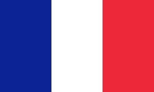Model Flag France